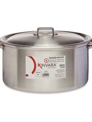 Casserole en Aluminium Argenté de 15 L