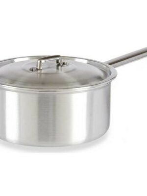 Casserole avec Couvercle en Aluminium Argenté 3 L